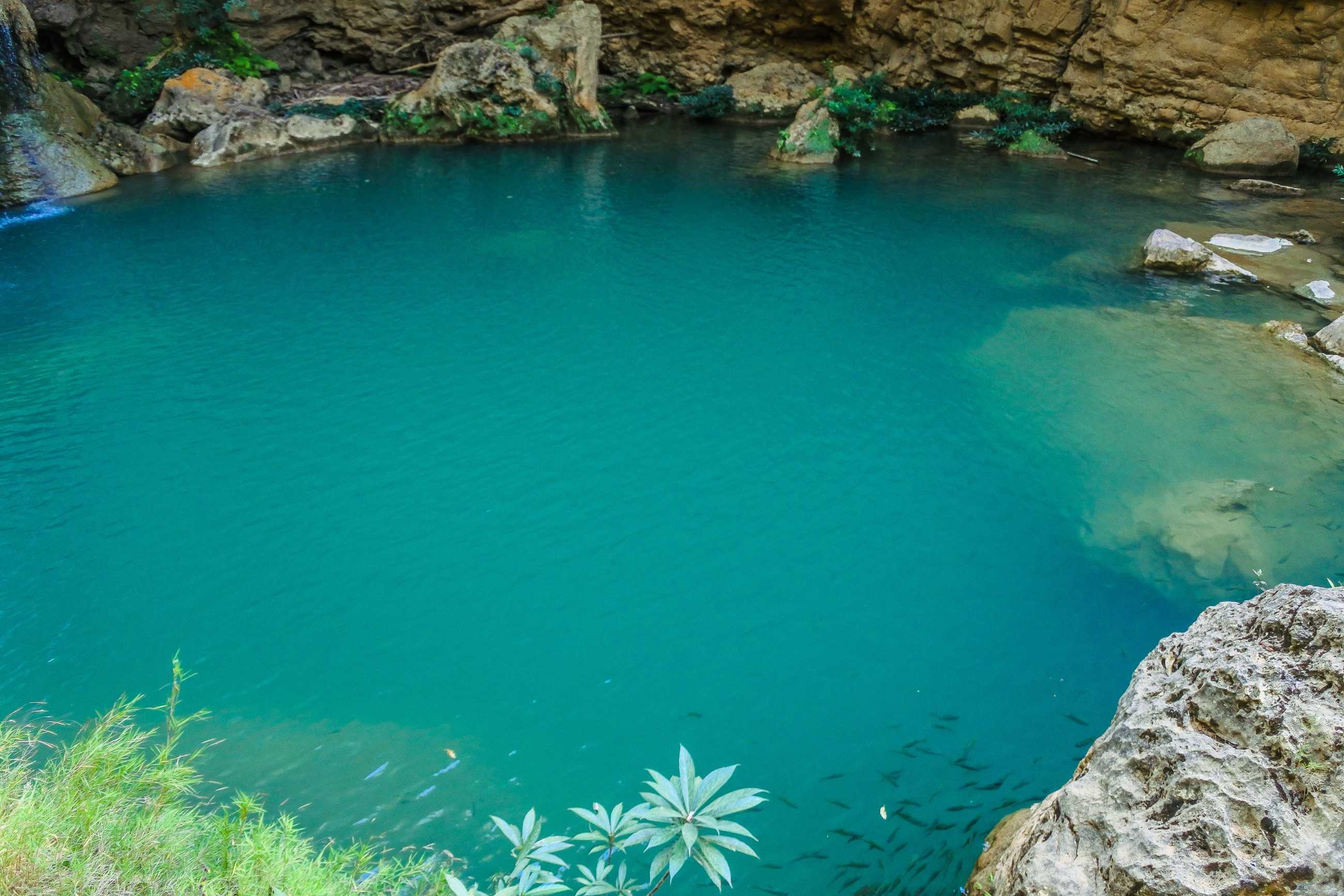 Chiang Mai-Mae Ping National Park Nature Tourism The Beauty of the North