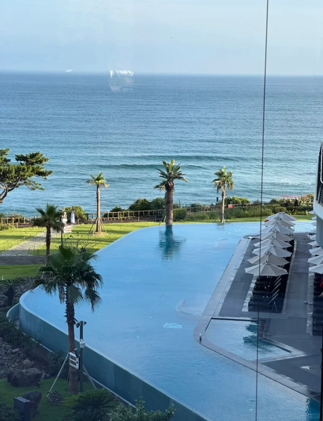 Busan/Jeju-Jeju Island Hotel Recommends Parnas Hotel ?️(파르나스호텔제주)