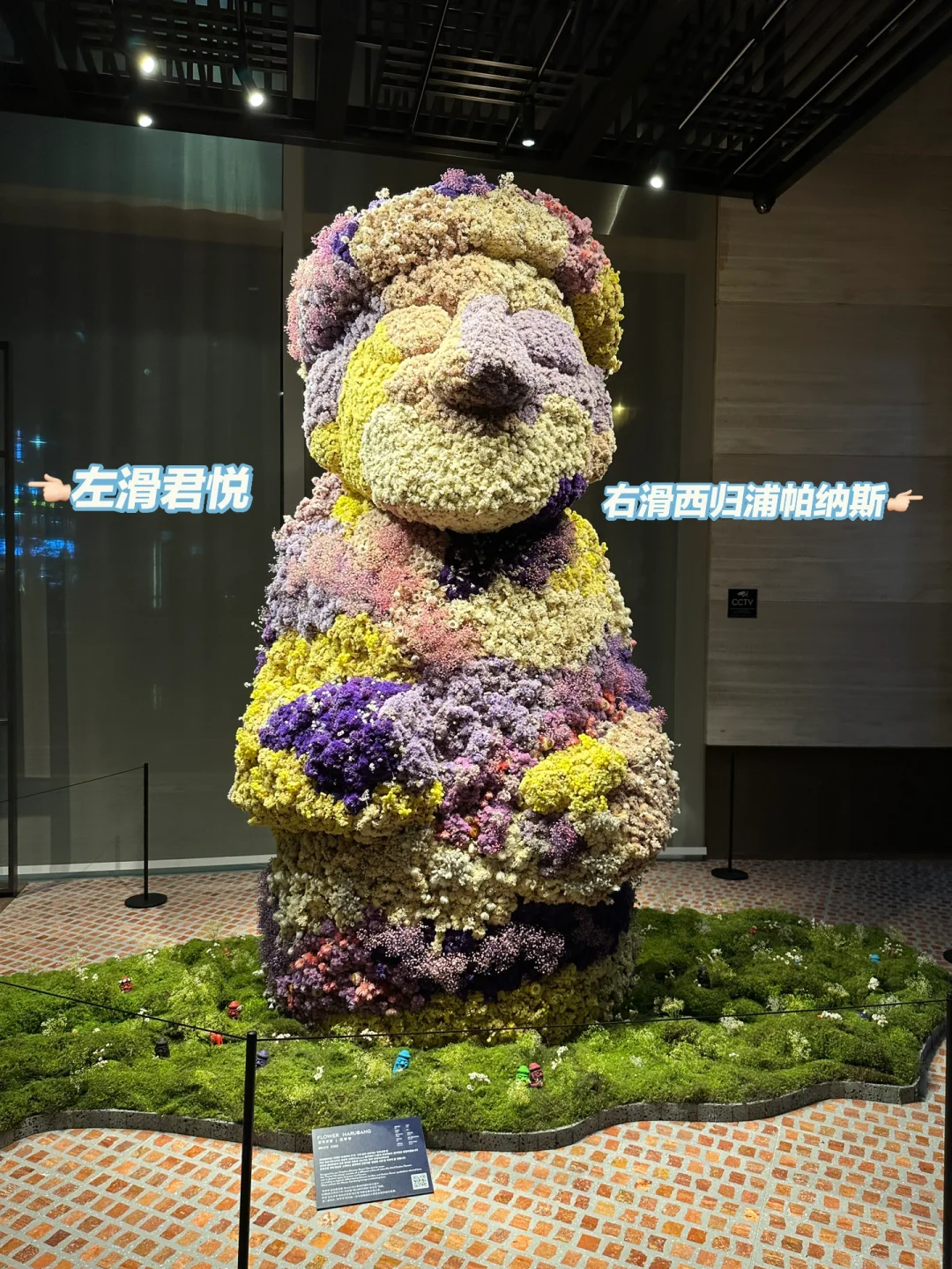Busan/Jeju-Grand Hyatt, Sun Hotel, Parnas. ?Recommended hotels for Jeju Island travel