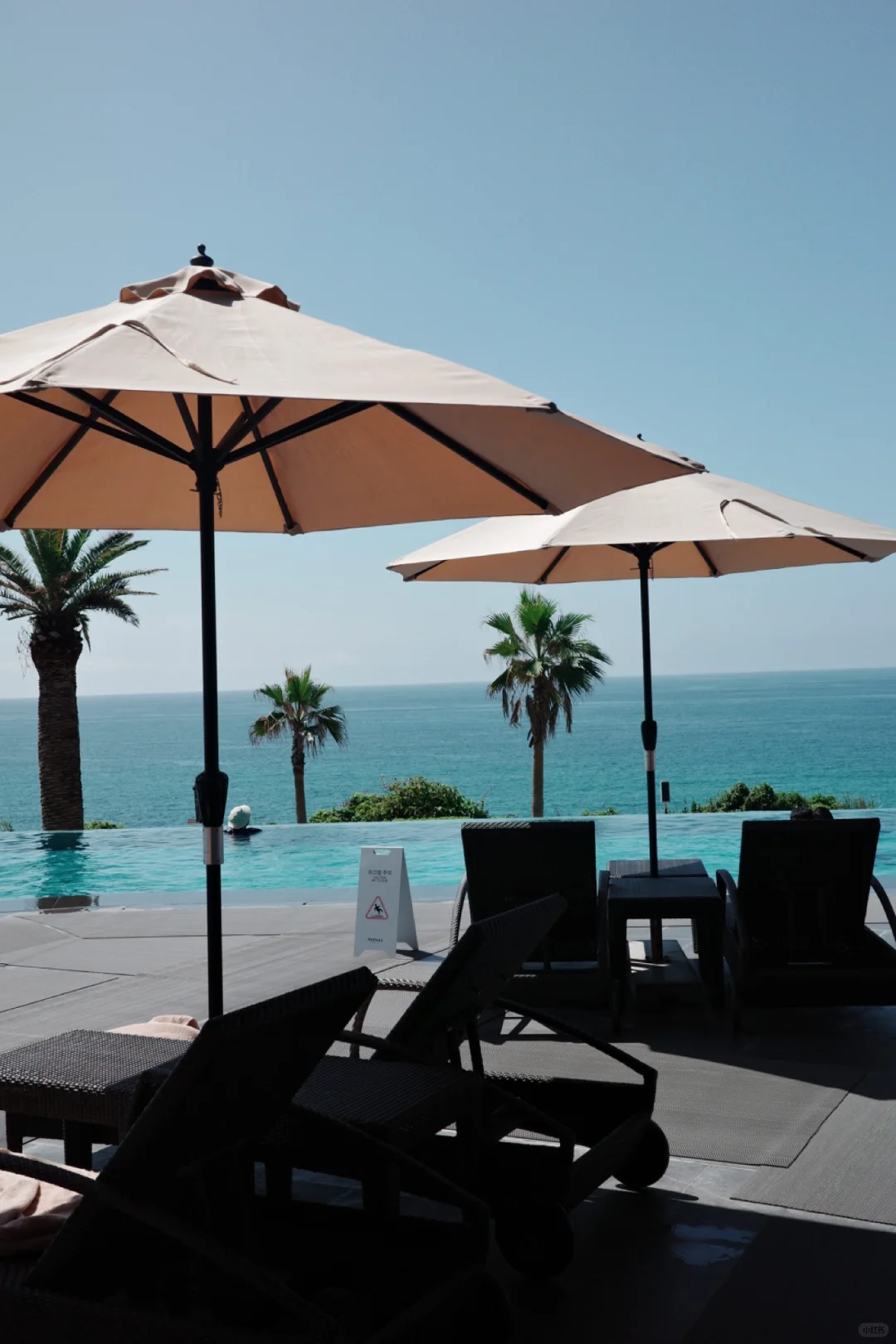 Busan/Jeju-Grand Hyatt, Sun Hotel, Parnas. ?Recommended hotels for Jeju Island travel