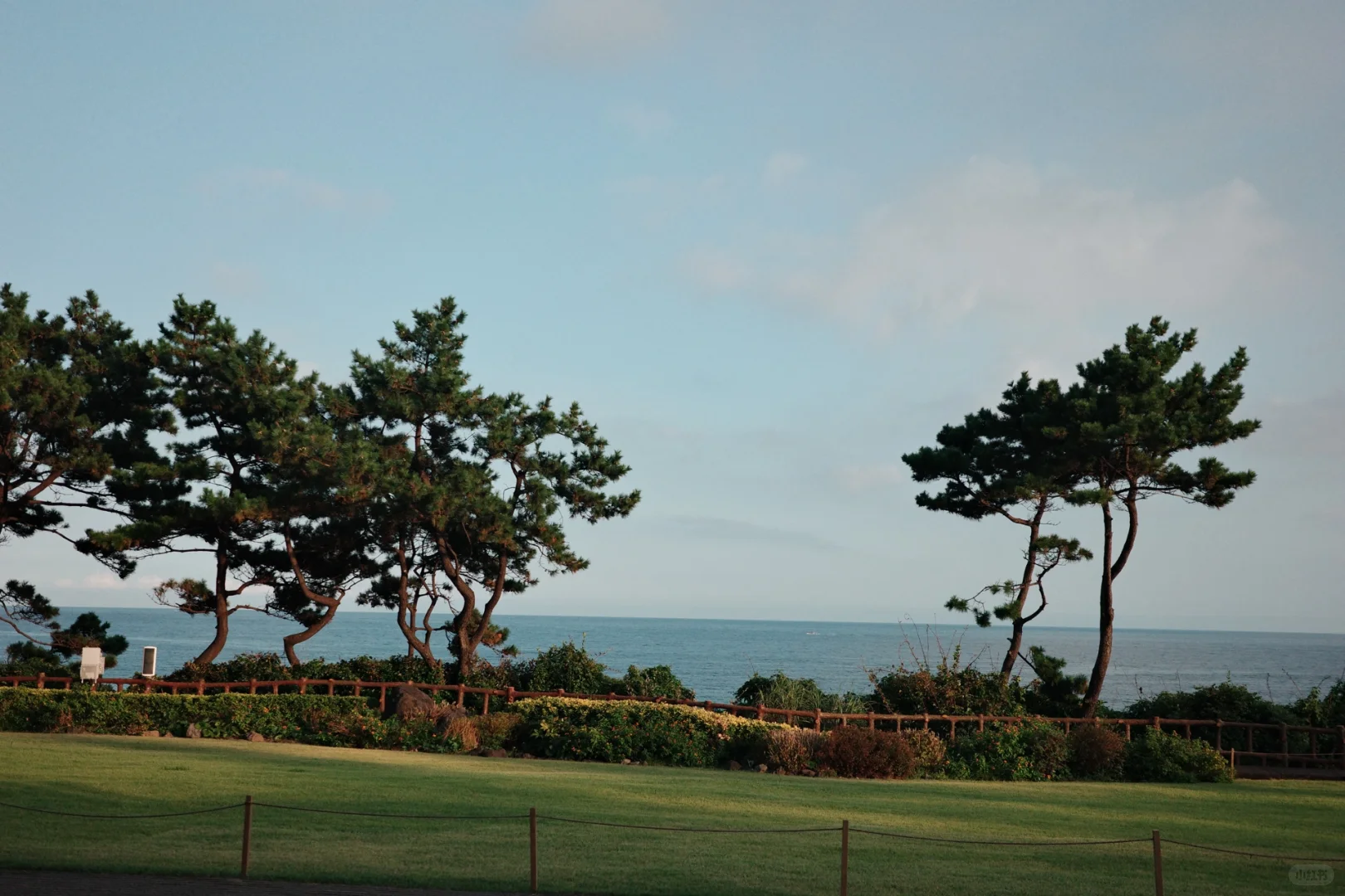 Busan/Jeju-Grand Hyatt, Sun Hotel, Parnas. ?Recommended hotels for Jeju Island travel