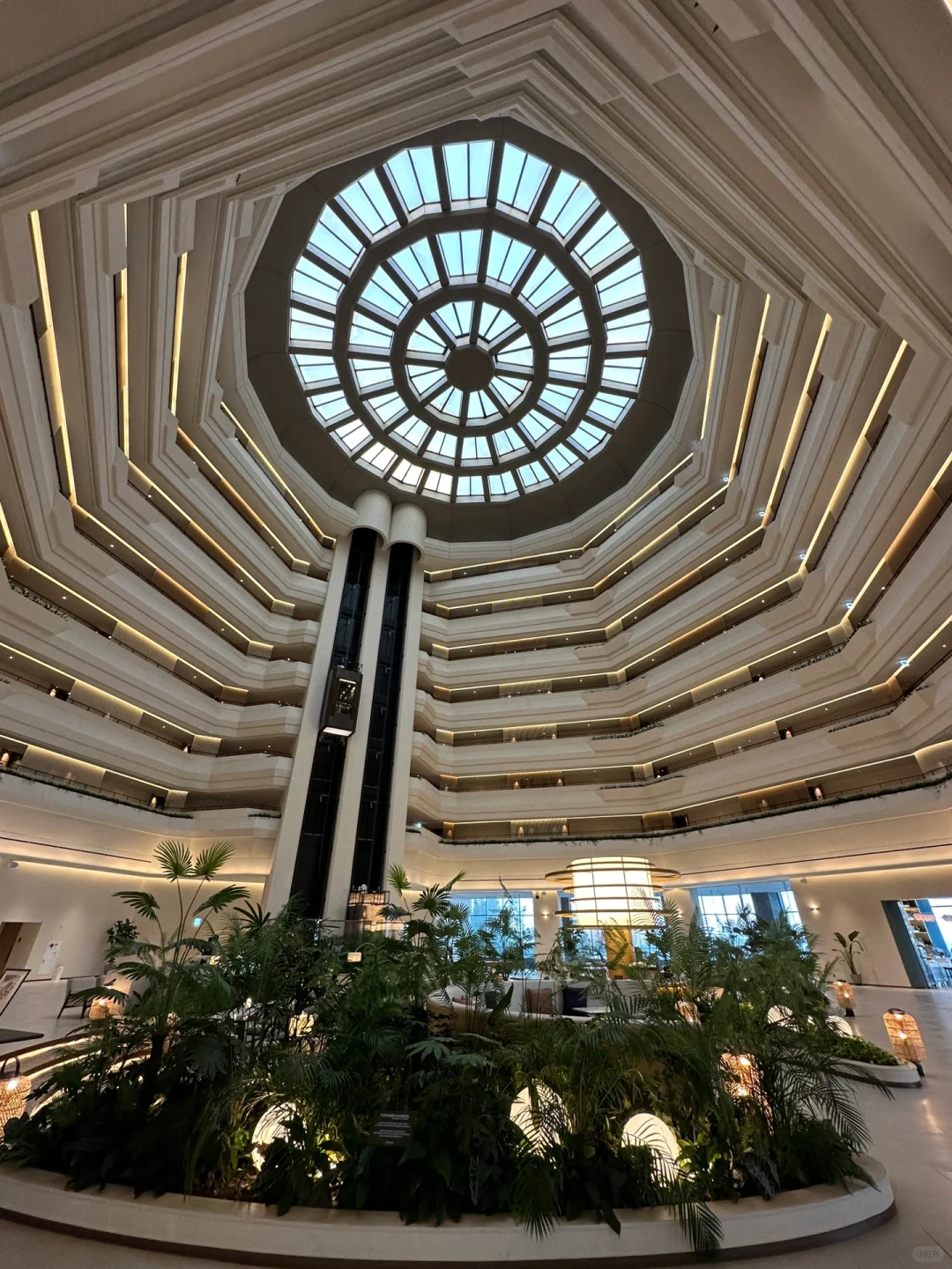 Busan/Jeju-Grand Hyatt, Sun Hotel, Parnas. ?Recommended hotels for Jeju Island travel