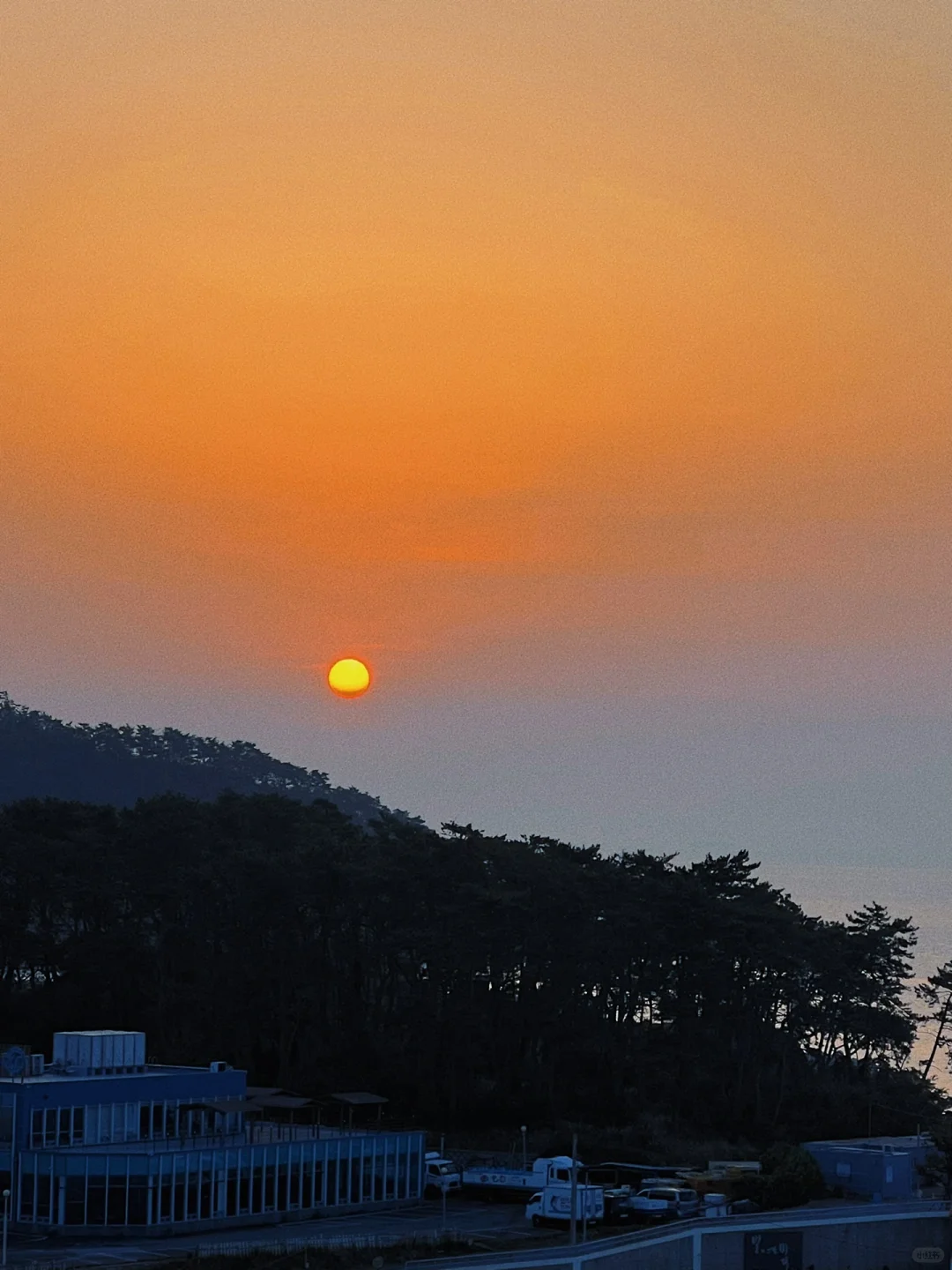 Busan/Jeju-Travel to Busan?, stay at the 타이드어웨이 Hotel and experience the infinity pool