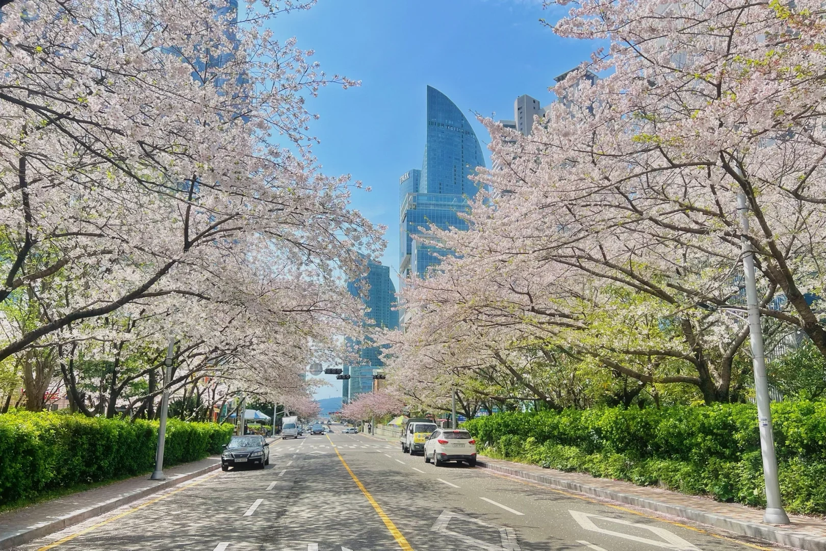 Busan/Jeju-Park Hyatt Busan Family Suite Accommodation in South Korea