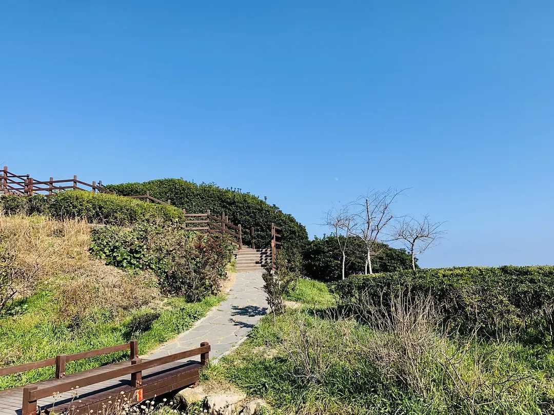 Busan/Jeju-Traveling to Busan, South Korea, is a dream I had when I was young.