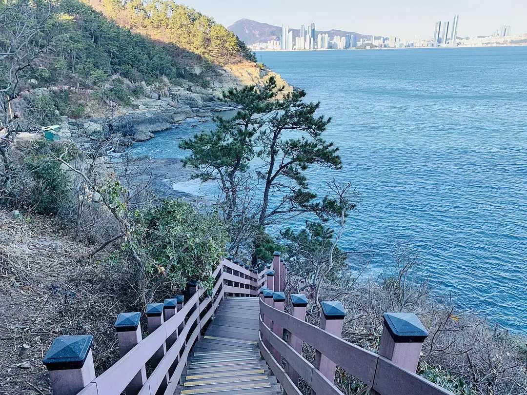 Busan/Jeju-Traveling to Busan, South Korea, is a dream I had when I was young.