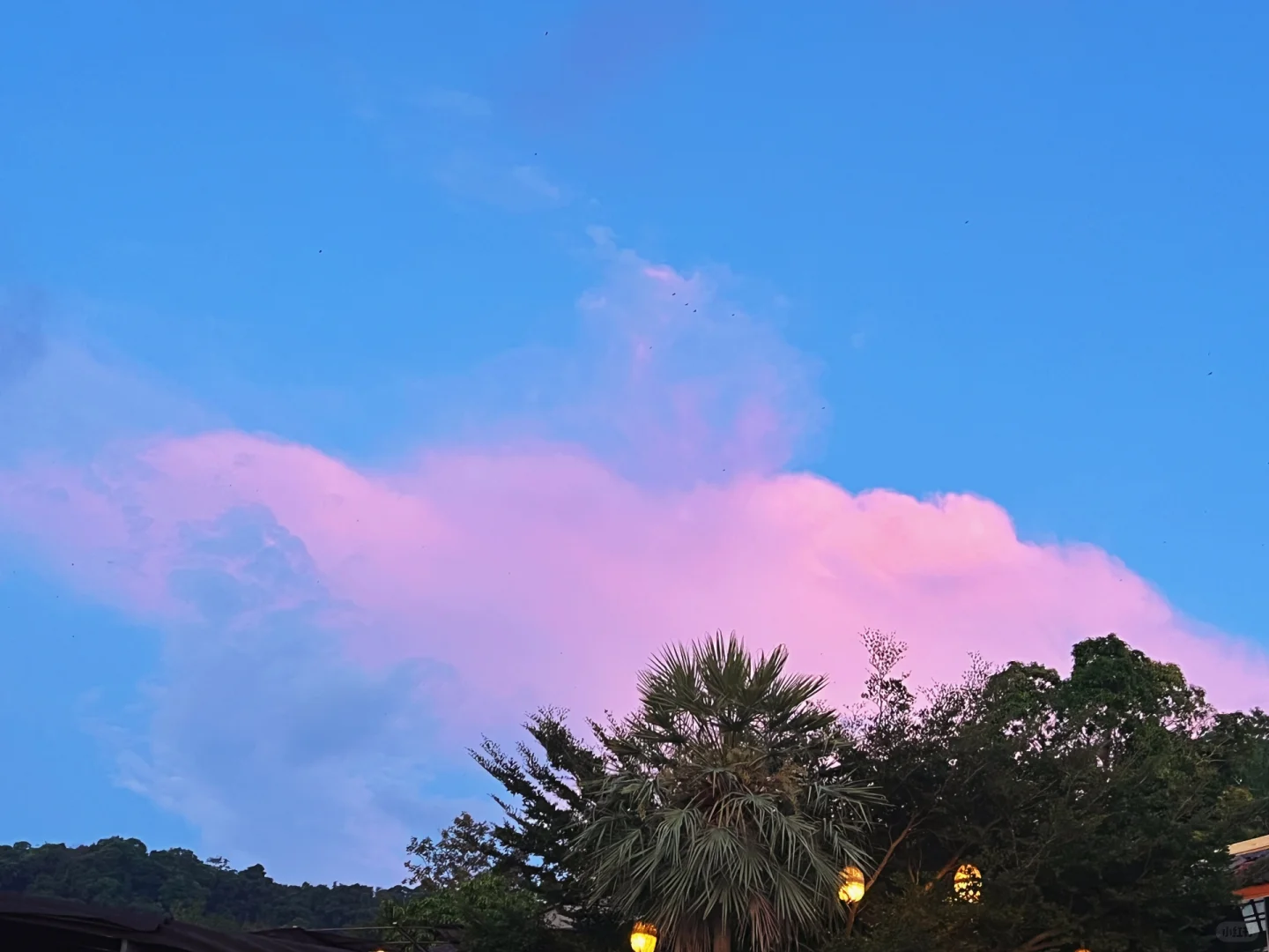 Krabi-A must-visit sunset restaurant on the top of the mountain in Krabi?the hilltop⛰️