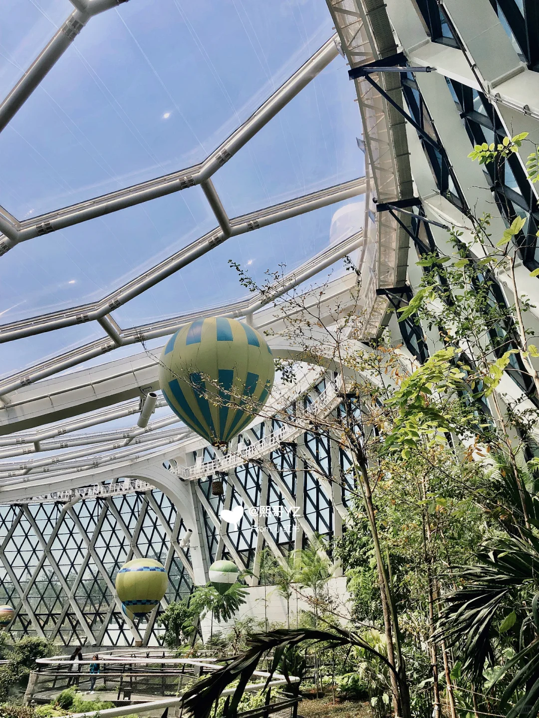Seoul-South Korea | Seoul's Most Beautiful Botanical Garden?: Sauna
