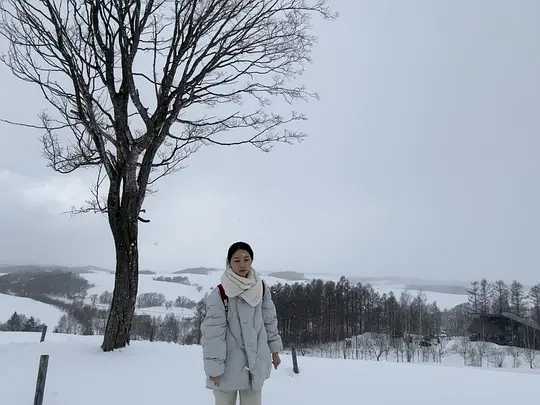 Sapporo/Hokkaido-Sapporo Furano, Lake Toya and Asahikawa, all the beautiful scenery comes into view