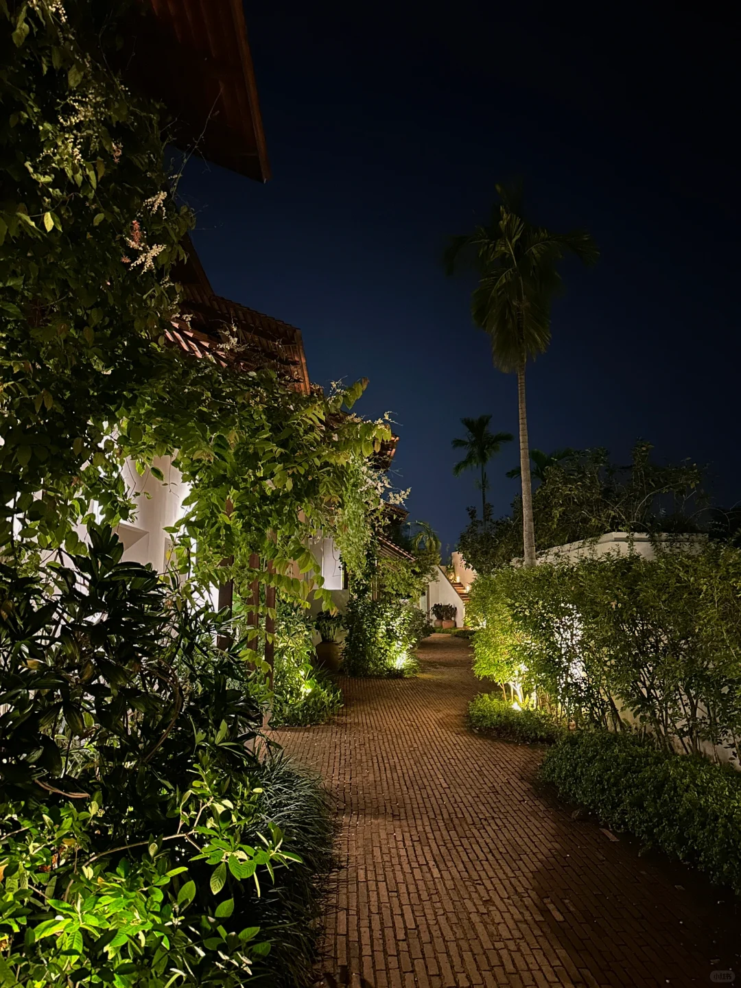 Chiang Mai-Chiang Mai Raya Heritage Hotel, enjoy the sun and food