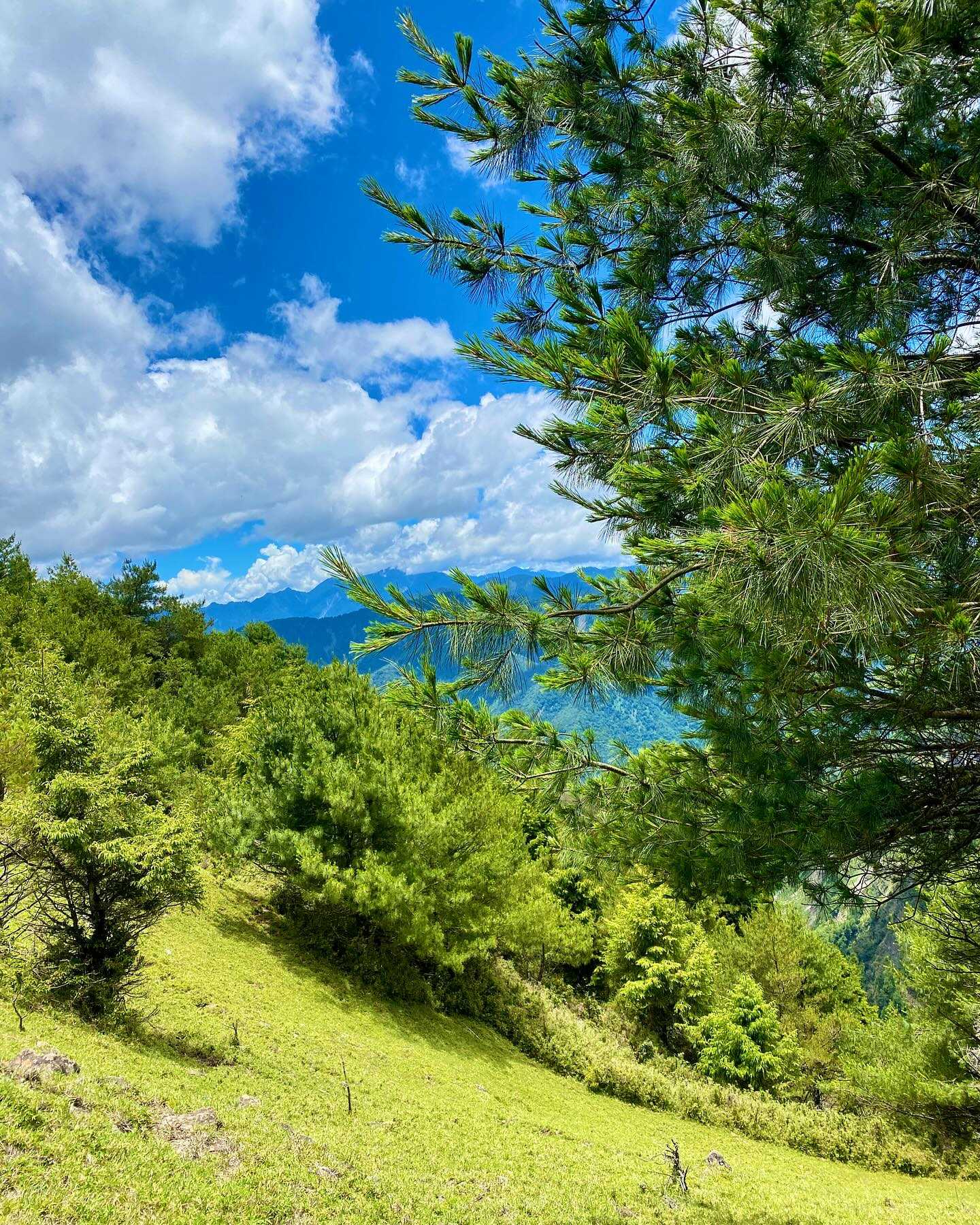 Taiwan-Yushan National Park, Xinyi Township, Nantou County - Linzhi Mountain, your hidden attraction