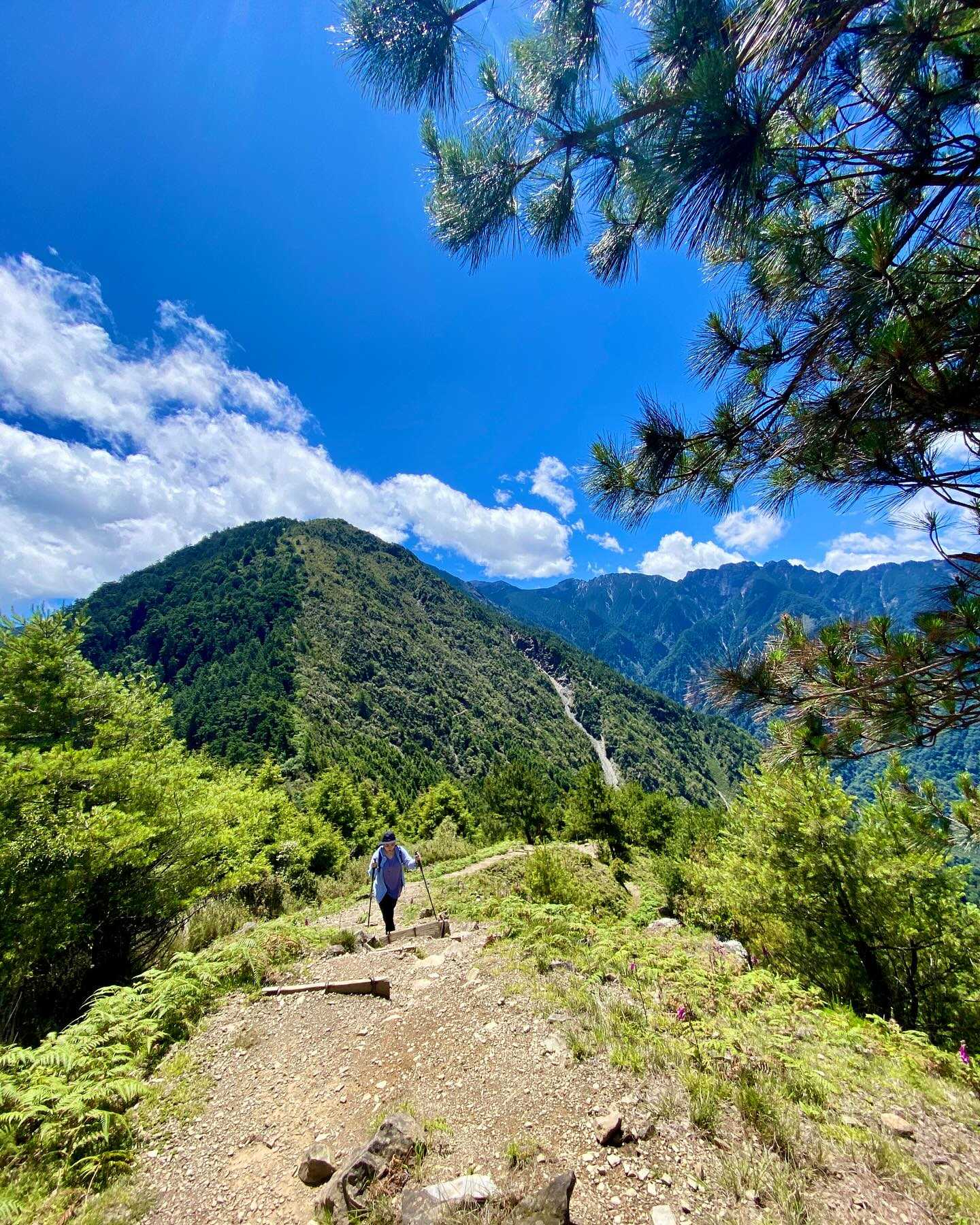 Taiwan-Yushan National Park, Xinyi Township, Nantou County - Linzhi Mountain, your hidden attraction