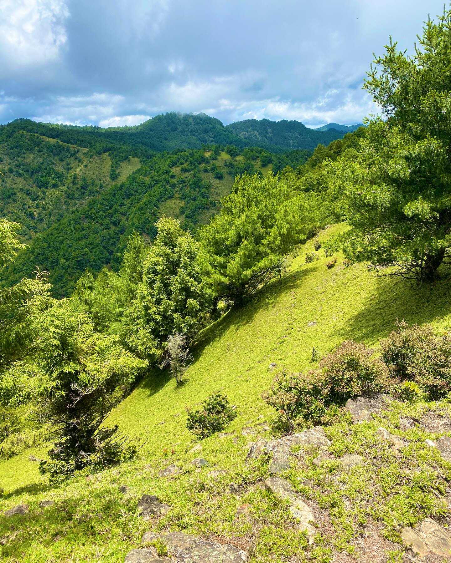 Taiwan-Yushan National Park, Xinyi Township, Nantou County - Linzhi Mountain, your hidden attraction