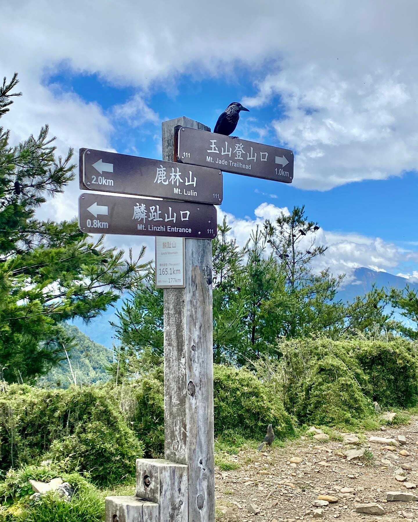 Taiwan-Yushan National Park, Xinyi Township, Nantou County - Linzhi Mountain, your hidden attraction