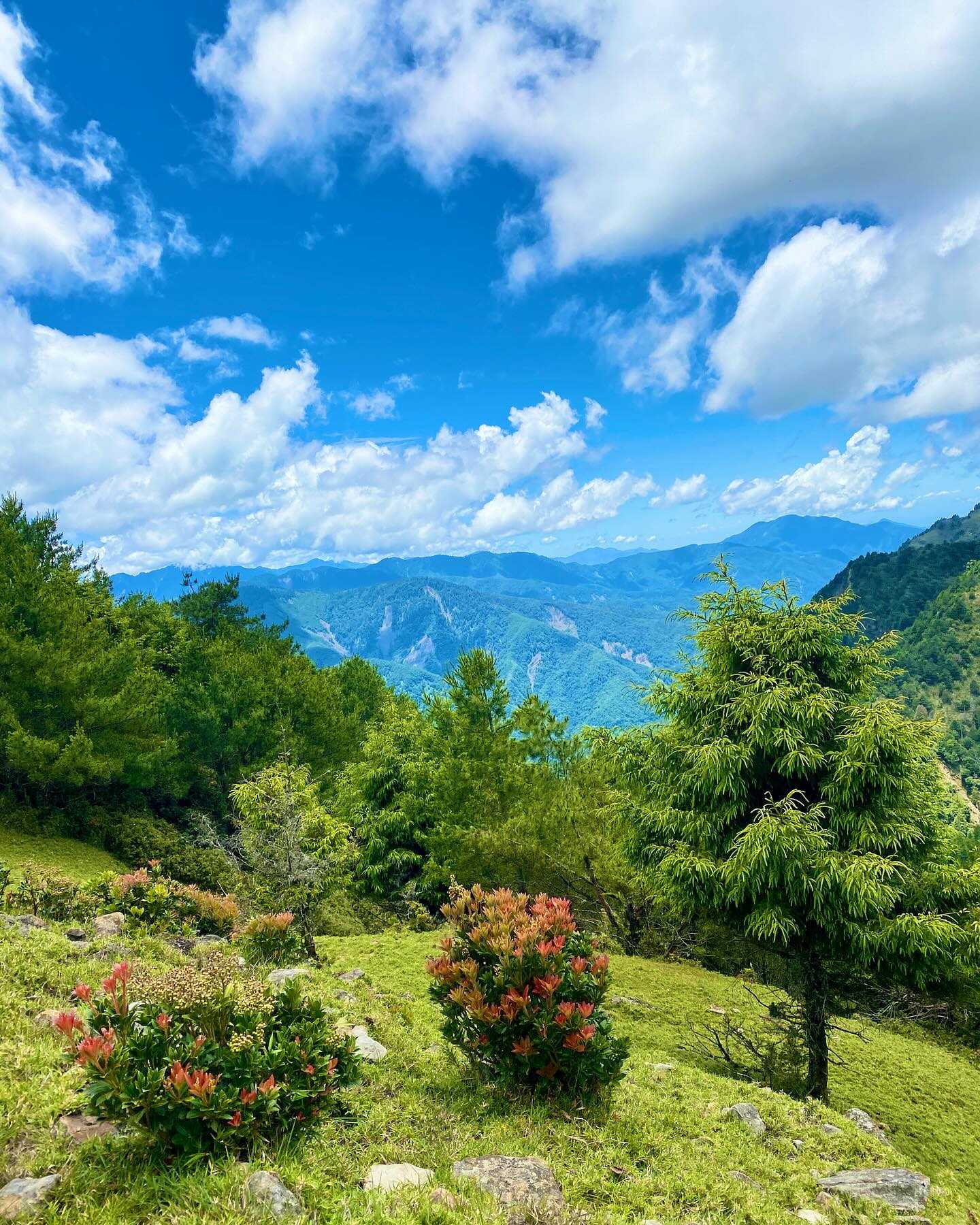 Taiwan-Yushan National Park, Xinyi Township, Nantou County - Linzhi Mountain, your hidden attraction
