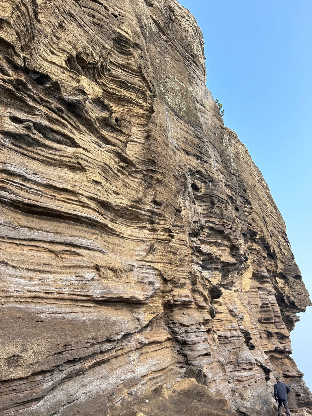 Busan/Jeju-South Korea's Jeju Island's best hidden attraction: ?Seogwipo Dragon Head Coast