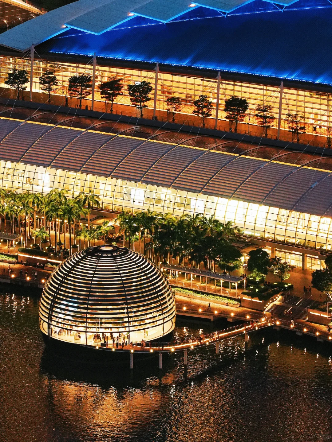 Singapore-Singapore city night view? | I captured the blues moment here