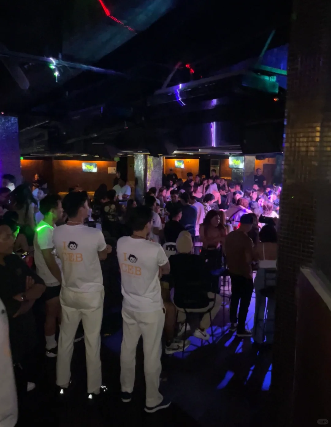 Cebu-Mad Monkey in Cebu and Bohol?, a cheap hostel where you can also experience the joy of disco