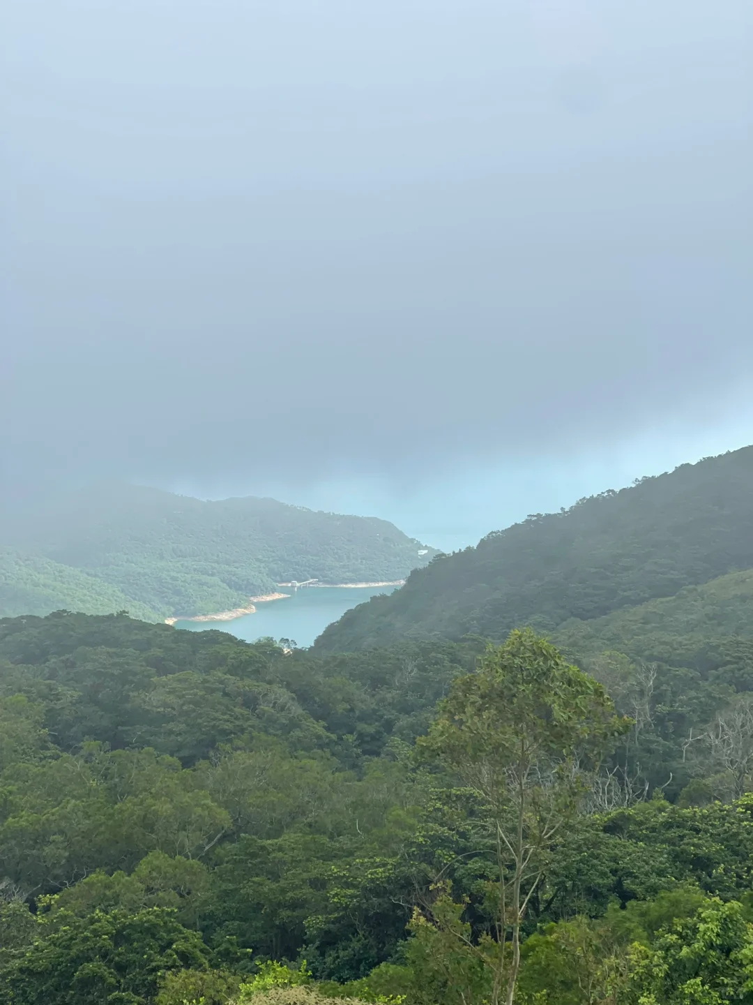 Hong kong-?Weekend trip to Hong Kong, the huge Buddha statue on Lantau Island cleanses your soul⛰️