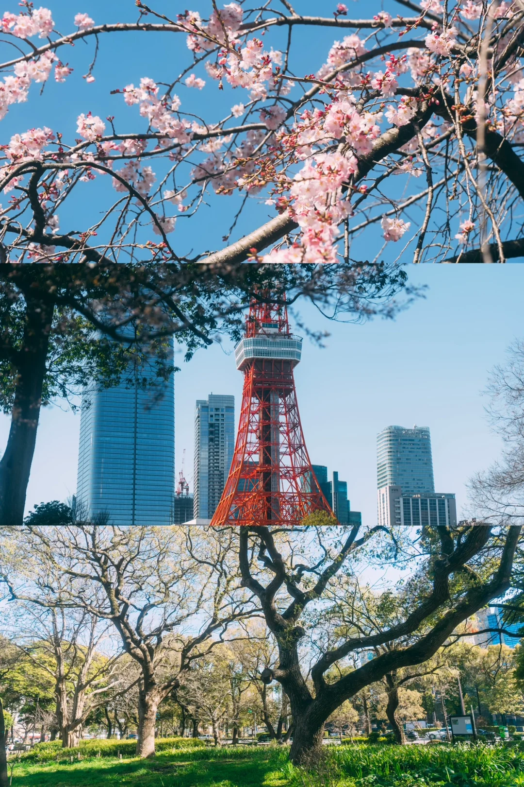 Tokyo-Tokyo Tower?6 leg-friendly camera positions?Take it and take photos
