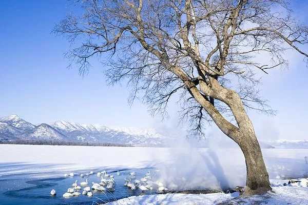 Sapporo/Hokkaido-The five major ski resorts in Hokkaido, Japan, skiing and hot springs are the right way to enjoy winter!