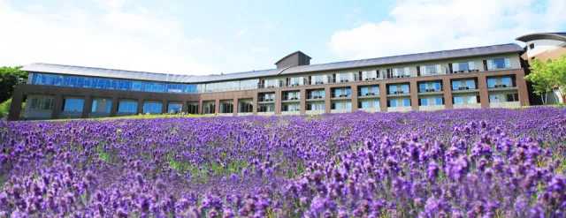 Sapporo/Hokkaido-The five major ski resorts in Hokkaido, Japan, skiing and hot springs are the right way to enjoy winter!