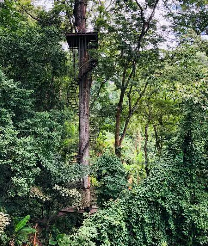 Phuket-Travel memories of Phuket Ocean Swing, ATV and Shooting Range?️