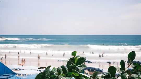 Phuket-Phuket's sea breeze heat wave hits?️, drink a sip of cold and delicious coconut water