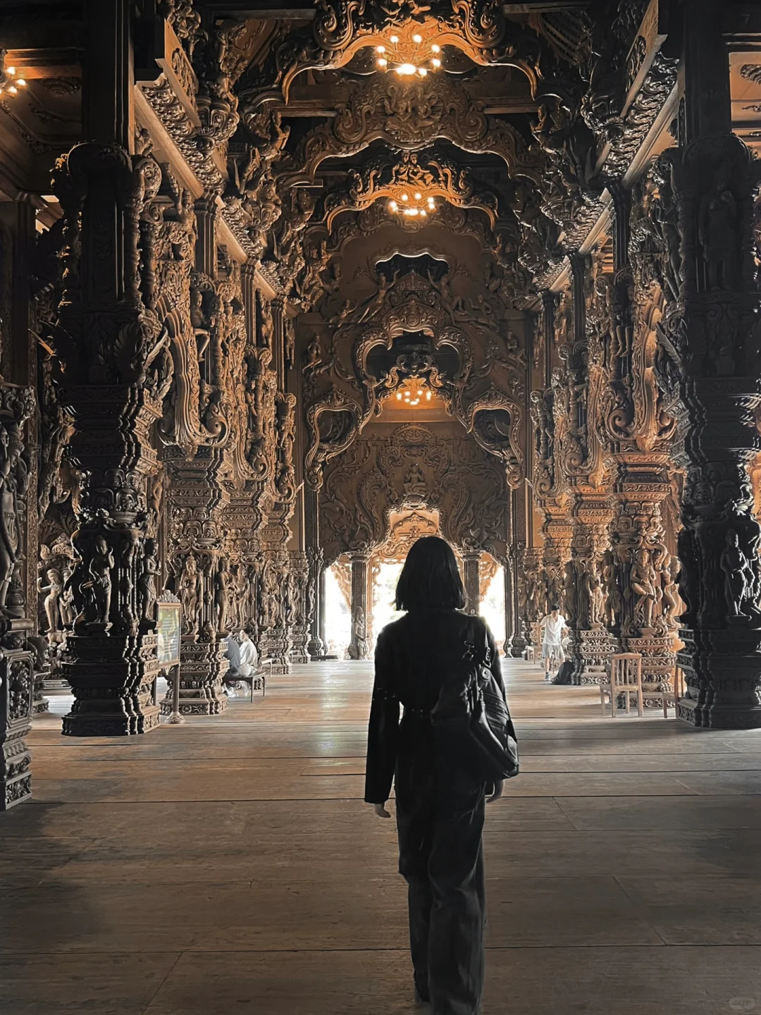 Chiang Mai-The small town of Chiang Rai, the White and Black Temple and the Temple of Truth are very beautiful