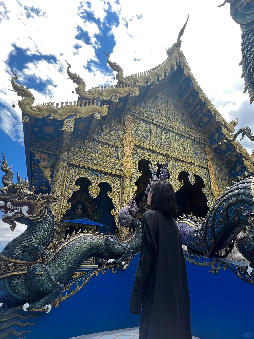 Chiang Mai-The small town of Chiang Rai, the White and Black Temple and the Temple of Truth are very beautiful