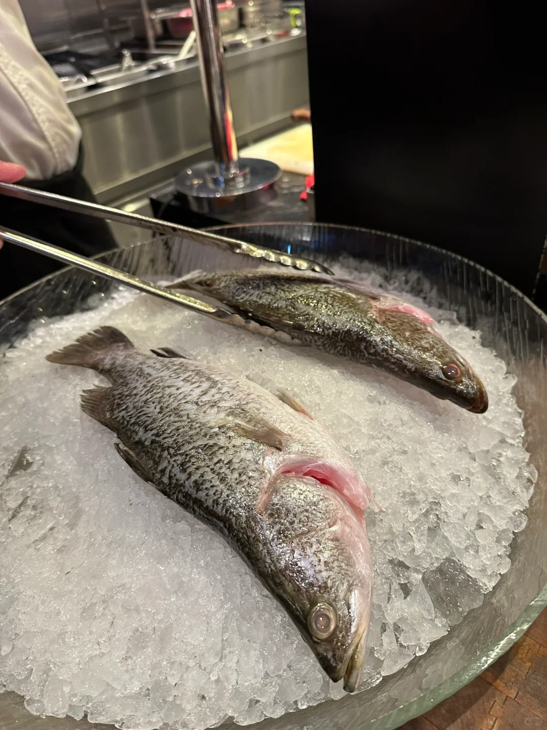 Singapore-Marriott Hotel buffet, a wide variety of food with good quality, all you can eat