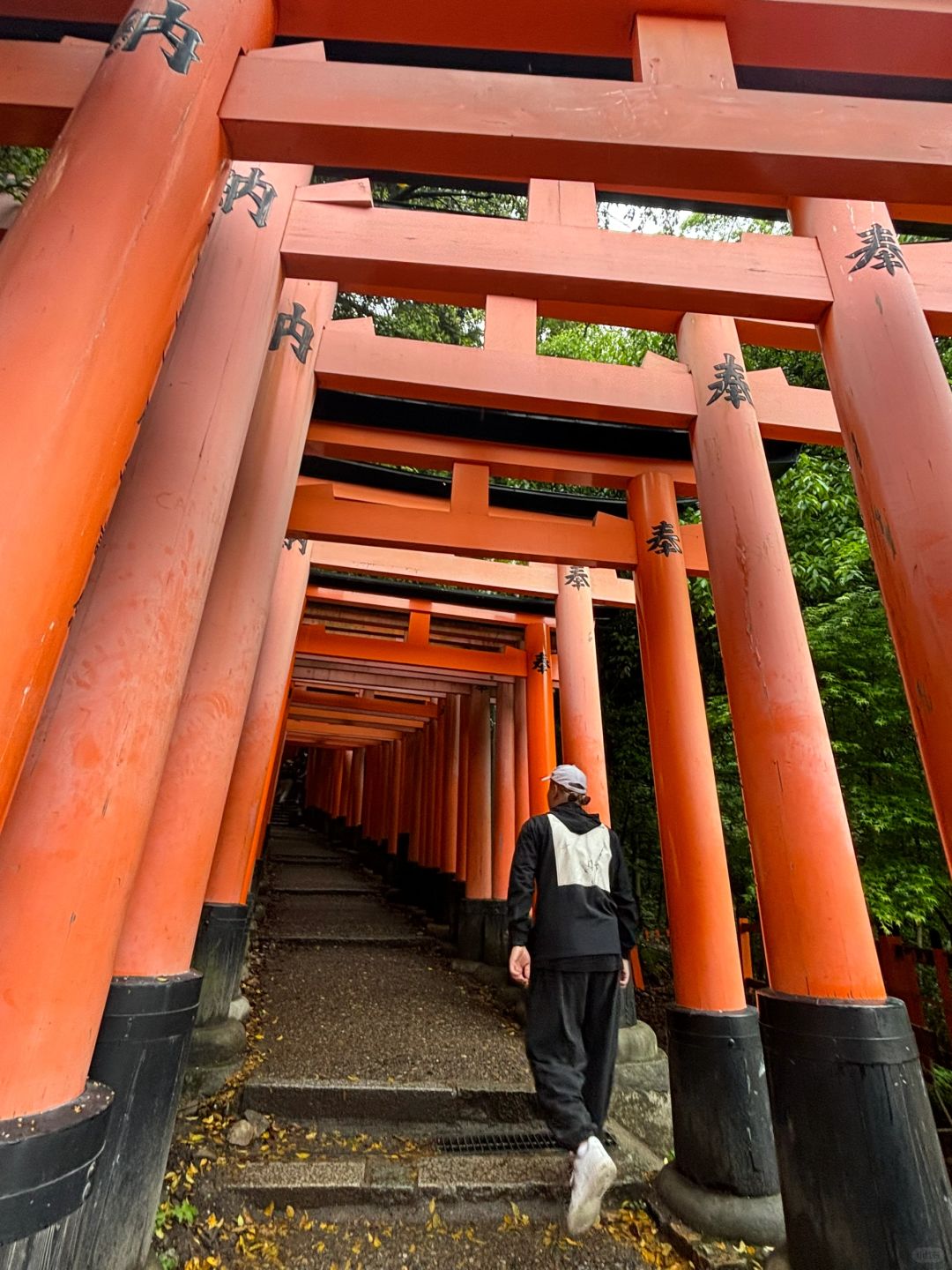 Osaka-Osaka & Kyoto & Nara Travel Diary, Castle Towers, Japan's Three Great Ancient Cities