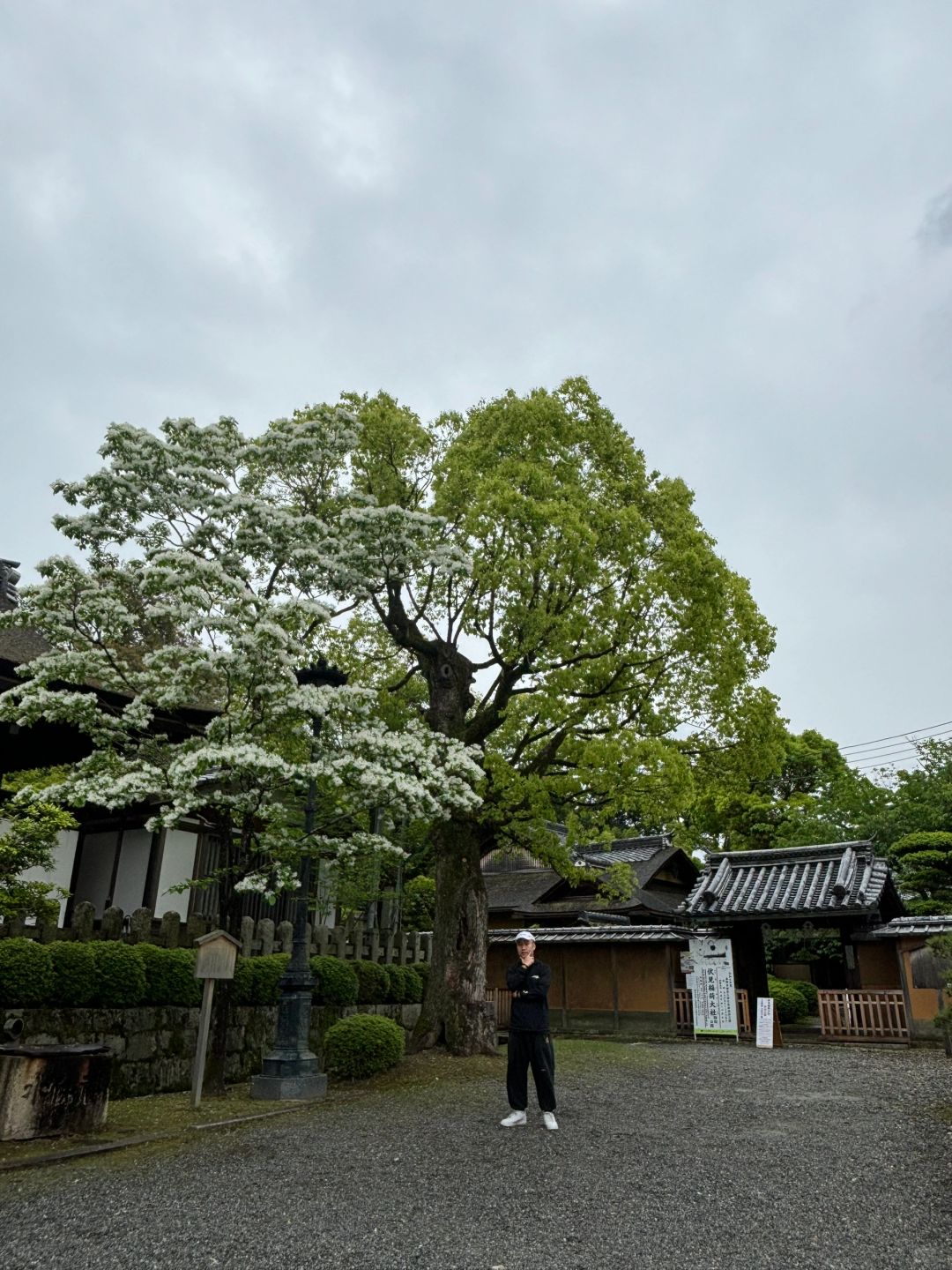 Osaka-Osaka & Kyoto & Nara Travel Diary, Castle Towers, Japan's Three Great Ancient Cities