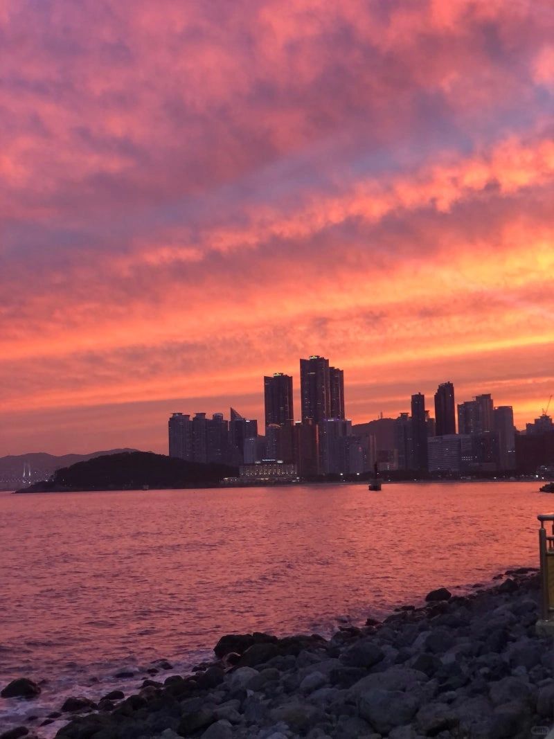 Busan/Jeju-Eat grilled scallops while looking at the sea at the Haeundae 해운대 미포끝집 restaurant in Busan