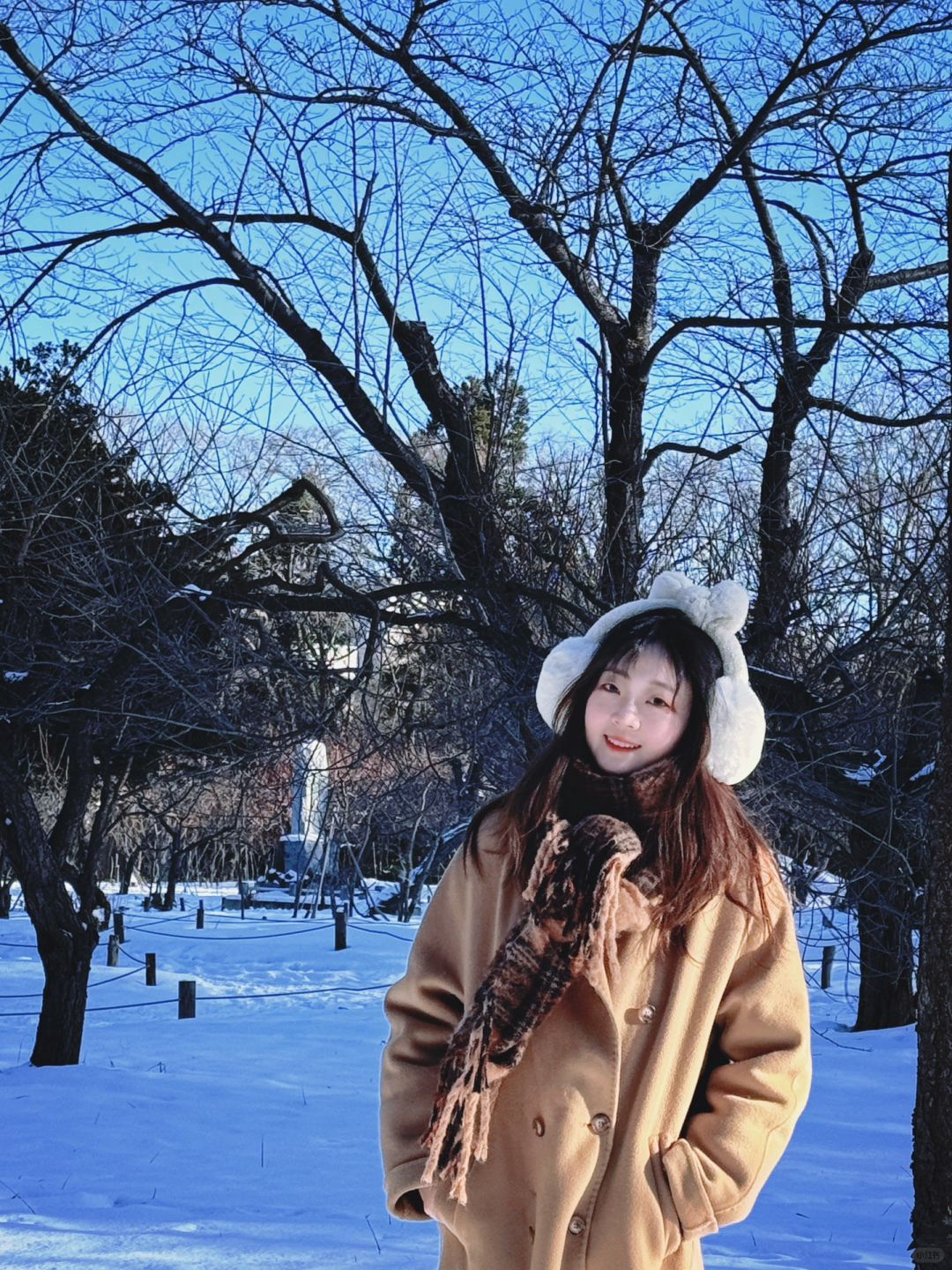 Sapporo/Hokkaido-One-day trip to Sapporo, guide to Hokkaido Jingu Shrine and Tanukikoji shopping street