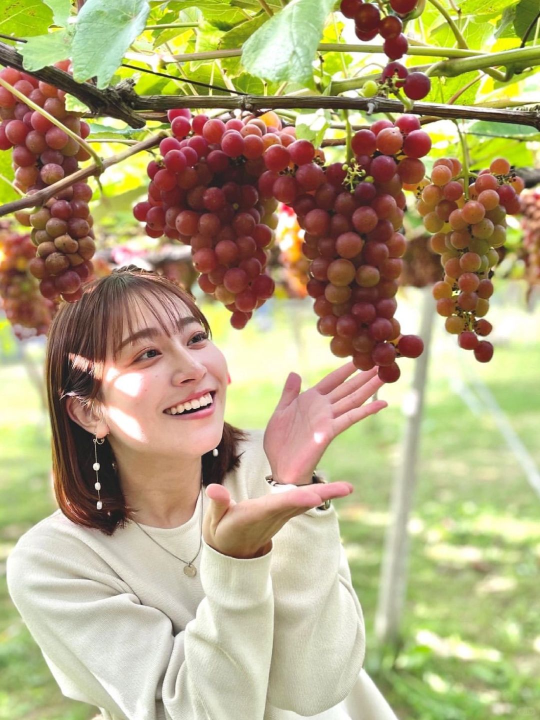 Sapporo/Hokkaido-Hokkaido?The most worthwhile one-day tour routes near Sapporo and Otaru