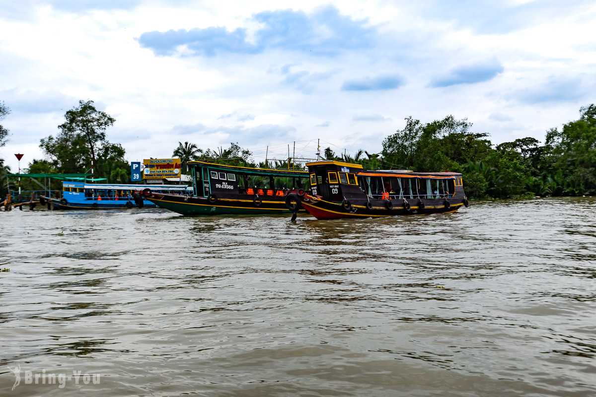 Ho Chi Minh-Mekong Delta Tour from Ho Chi Minh, Hand-cranked Boats, Cruise Ships, Floating Houses