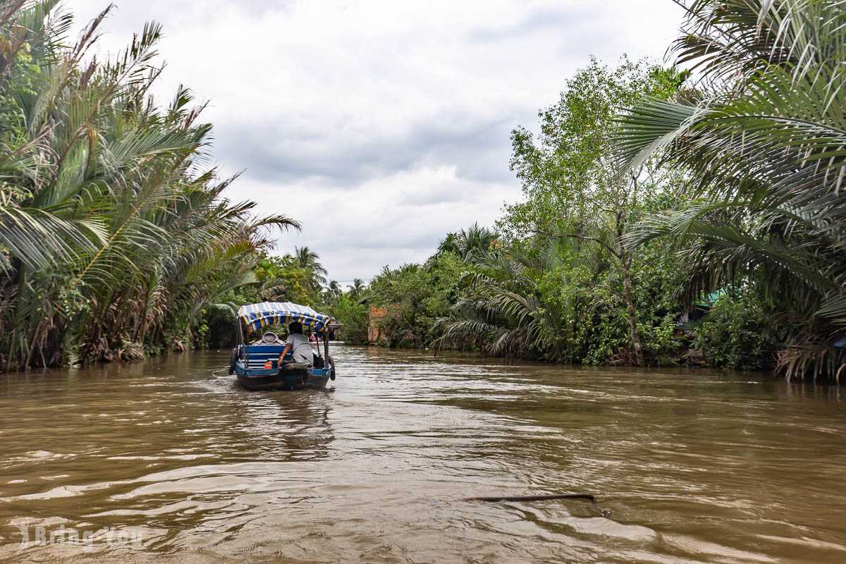 Ho Chi Minh-Mekong Delta Tour from Ho Chi Minh, Hand-cranked Boats, Cruise Ships, Floating Houses