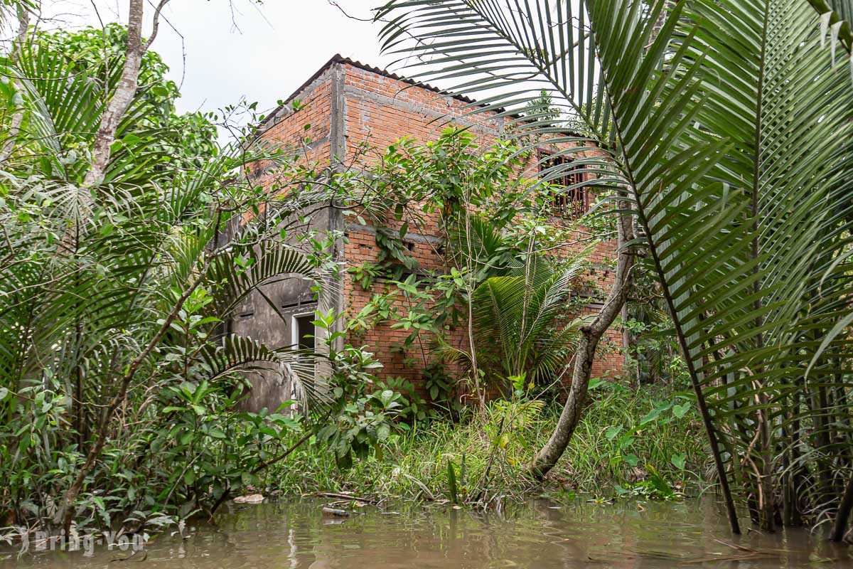 Ho Chi Minh-Mekong Delta Tour from Ho Chi Minh, Hand-cranked Boats, Cruise Ships, Floating Houses