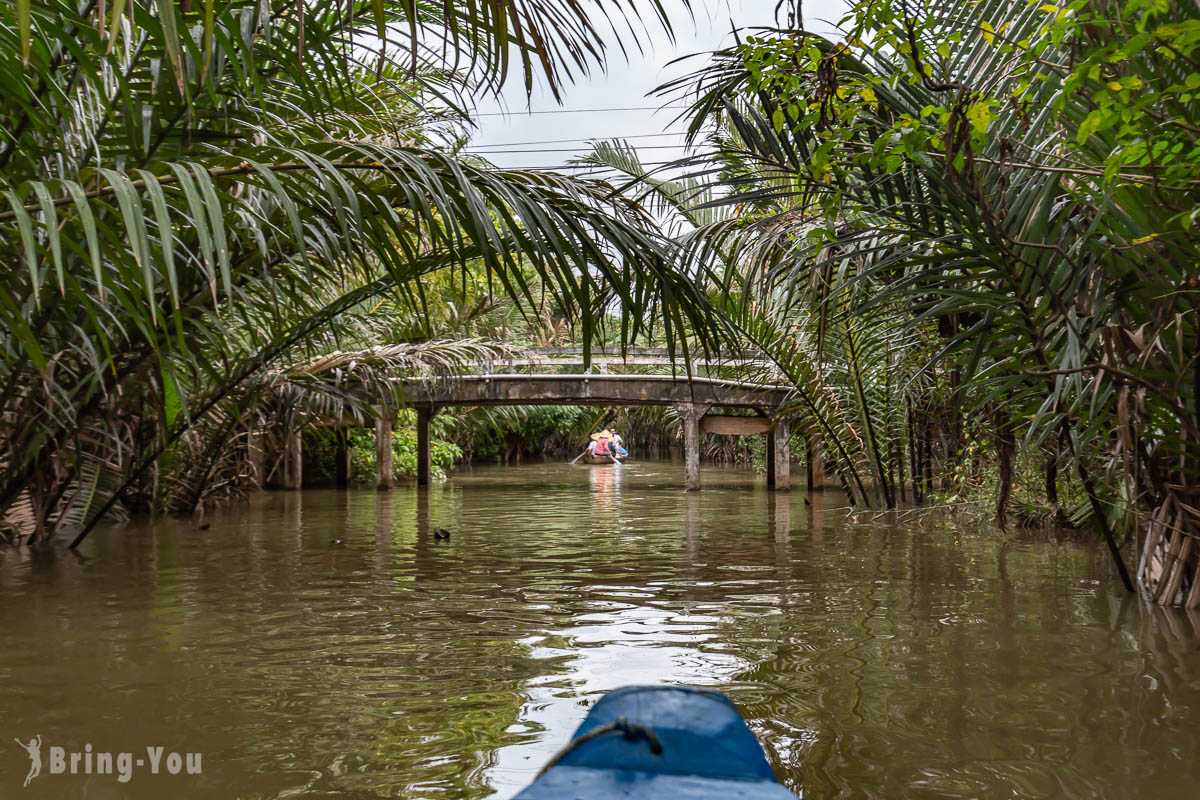Ho Chi Minh-Mekong Delta Tour from Ho Chi Minh, Hand-cranked Boats, Cruise Ships, Floating Houses