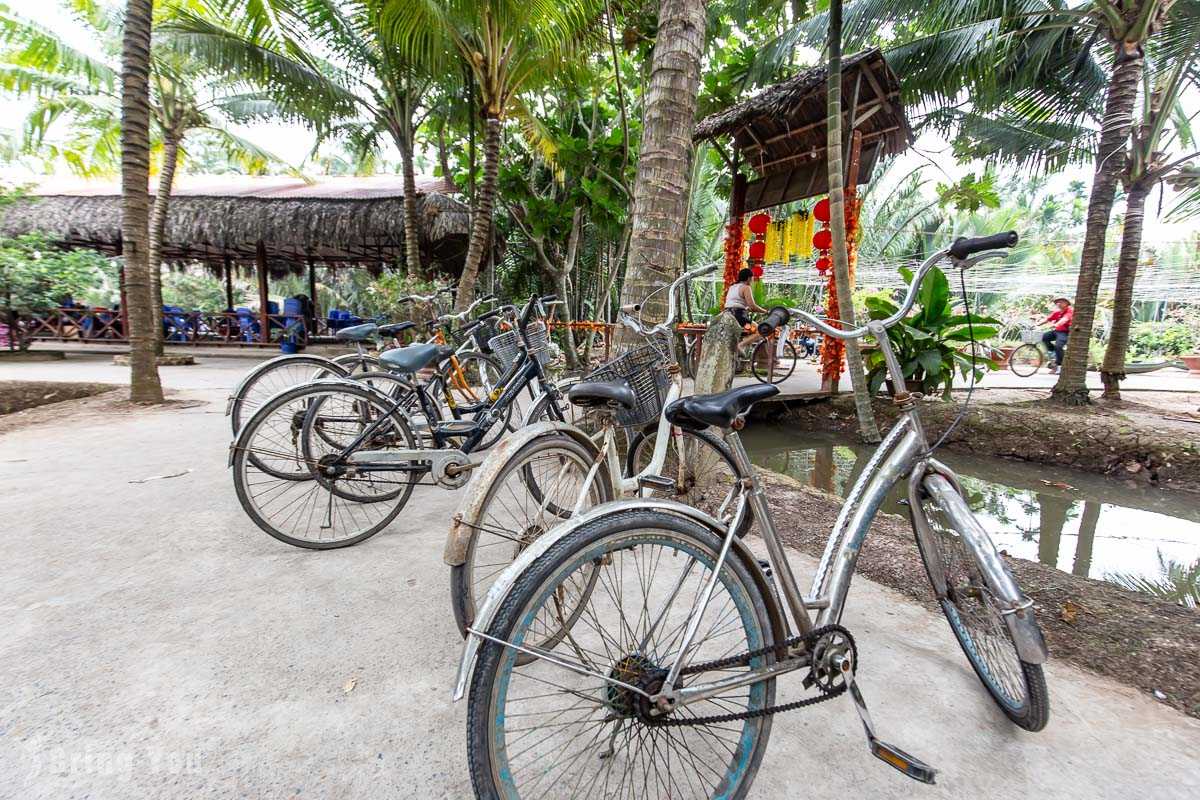 Ho Chi Minh-Mekong Delta Tour from Ho Chi Minh, Hand-cranked Boats, Cruise Ships, Floating Houses