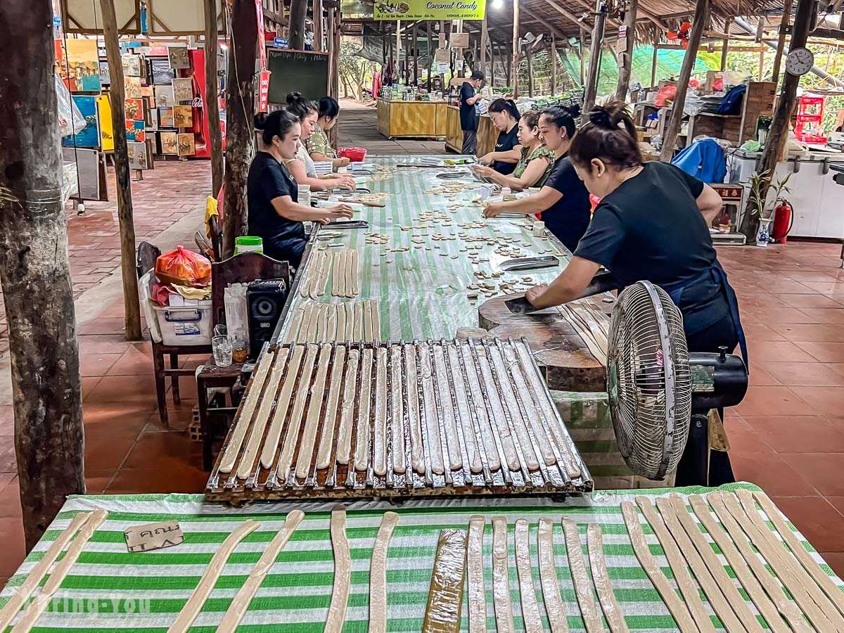 Ho Chi Minh-Mekong Delta Tour from Ho Chi Minh, Hand-cranked Boats, Cruise Ships, Floating Houses