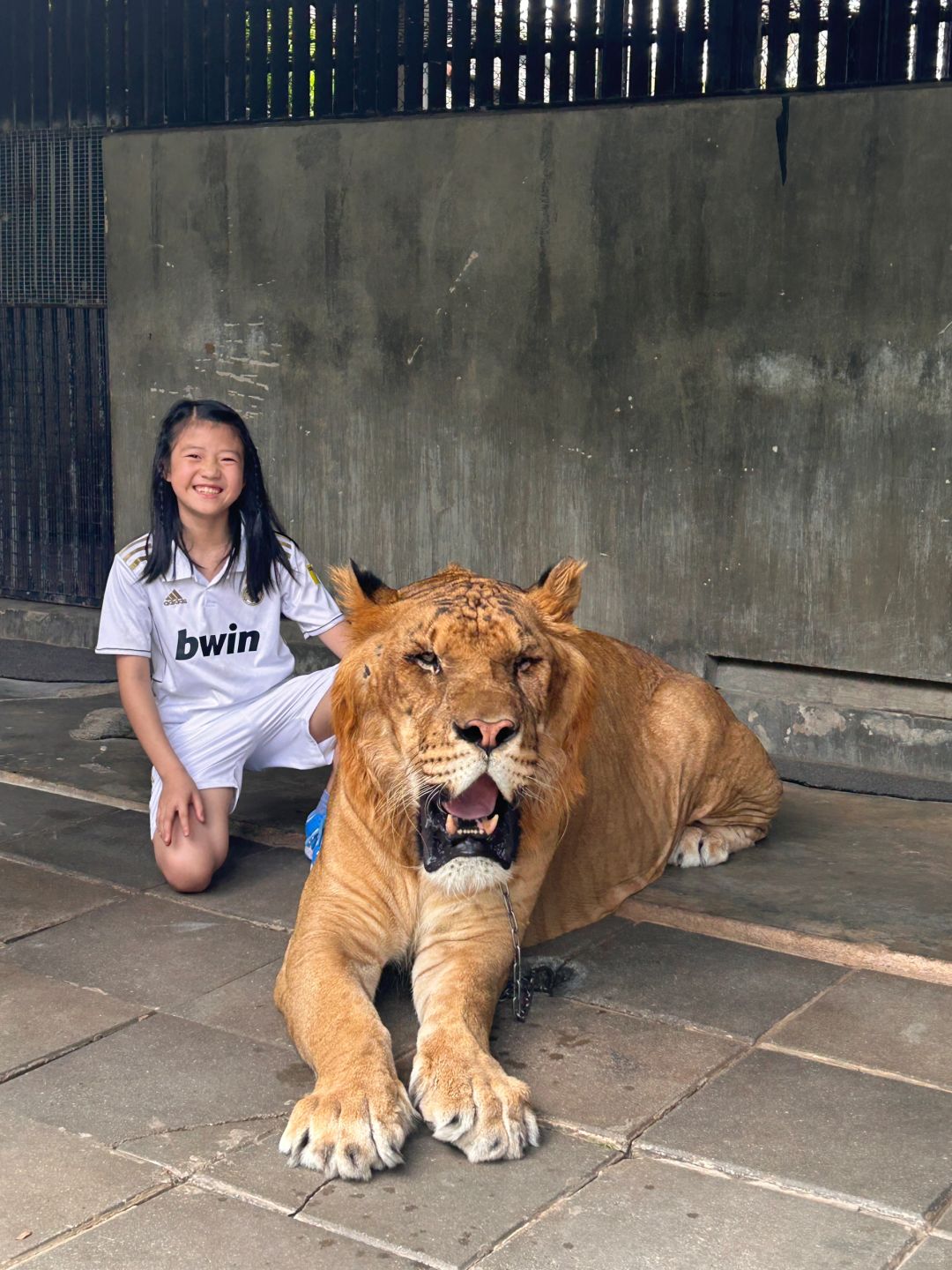 Hua Hin-Hua Hin Safari Park?, get up close and personal with a variety of local animals