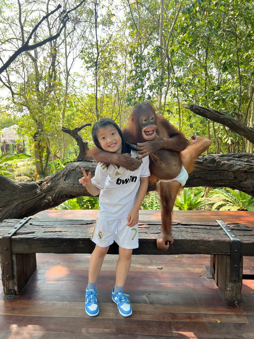 Hua Hin-Hua Hin Safari Park?, get up close and personal with a variety of local animals