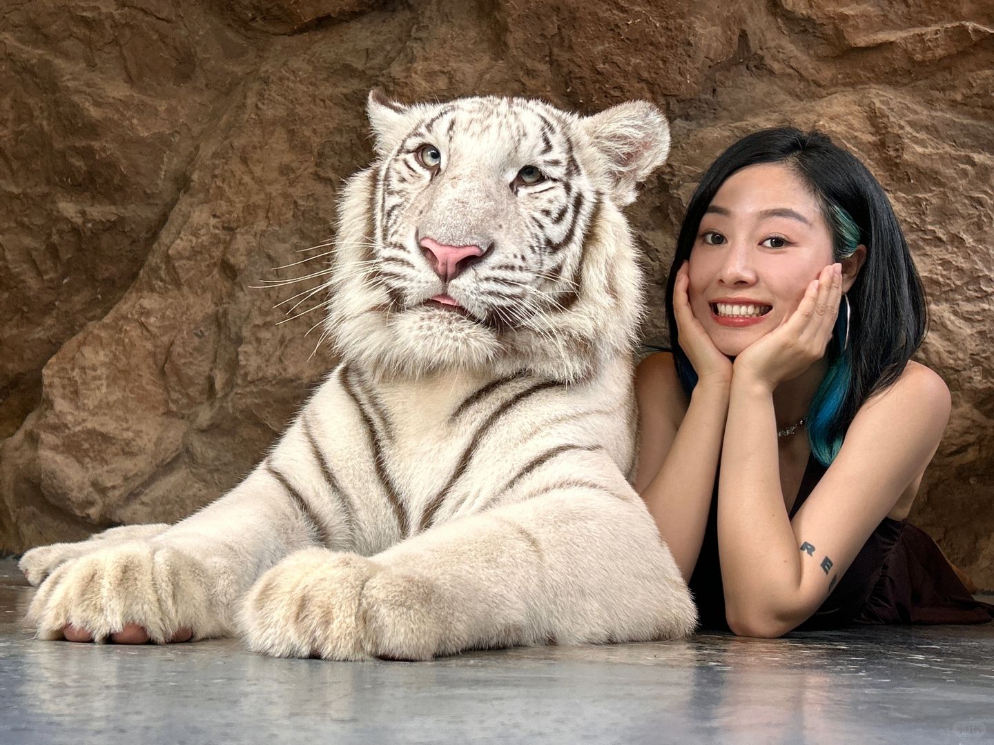 Hua Hin-Hua Hin Safari Park?, get up close and personal with a variety of local animals