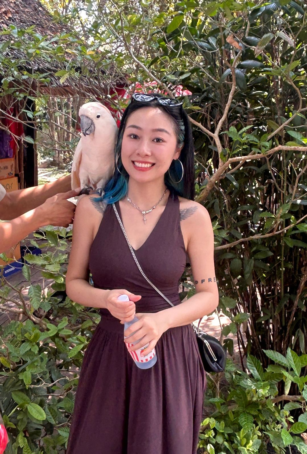 Hua Hin-Hua Hin Safari Park?, get up close and personal with a variety of local animals