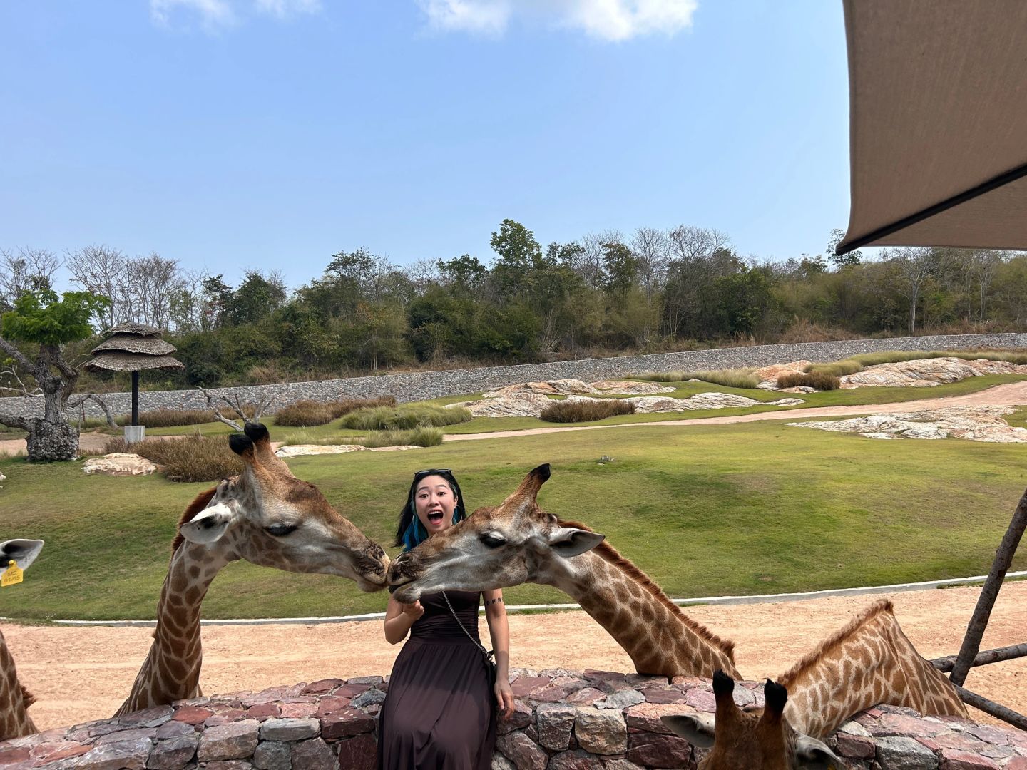 Hua Hin-Hua Hin Safari Park?, get up close and personal with a variety of local animals