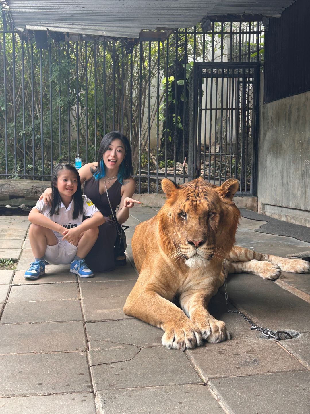 Hua Hin-Hua Hin Safari Park?, get up close and personal with a variety of local animals