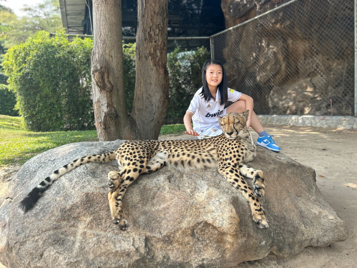 Hua Hin-Hua Hin Safari Park?, get up close and personal with a variety of local animals