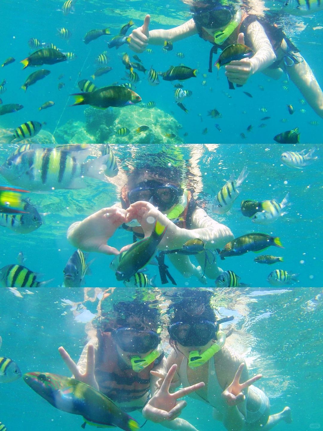 Jakarta-Pulau Seribu Island in Jakarta?️, a pristine island where you can get a diving certificate
